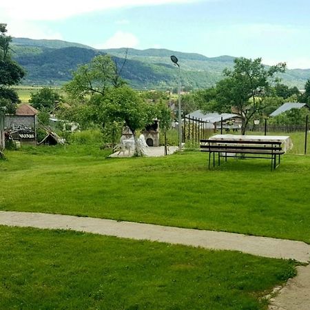 Pensiunea Adeluta Apartament Călimăneşti Exteriér fotografie