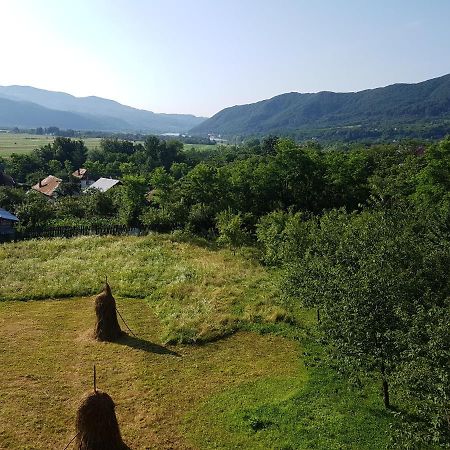 Pensiunea Adeluta Apartament Călimăneşti Exteriér fotografie