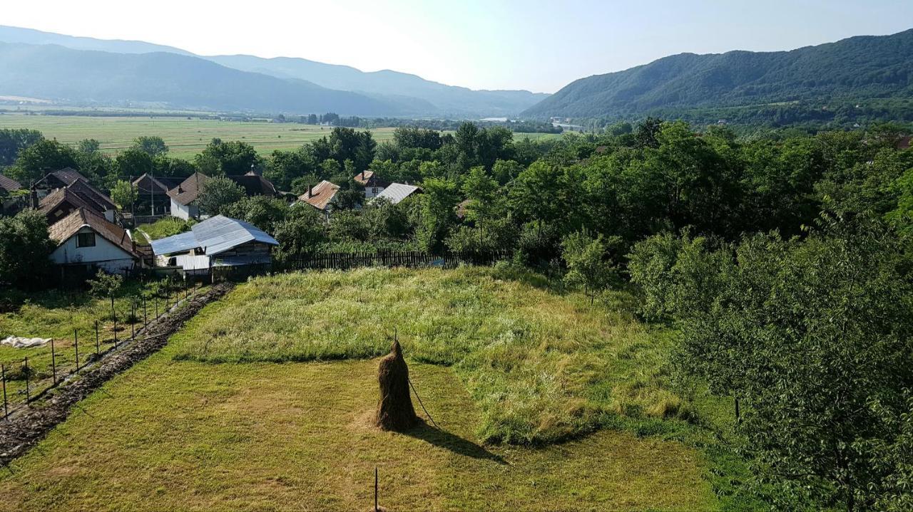 Pensiunea Adeluta Apartament Călimăneşti Exteriér fotografie