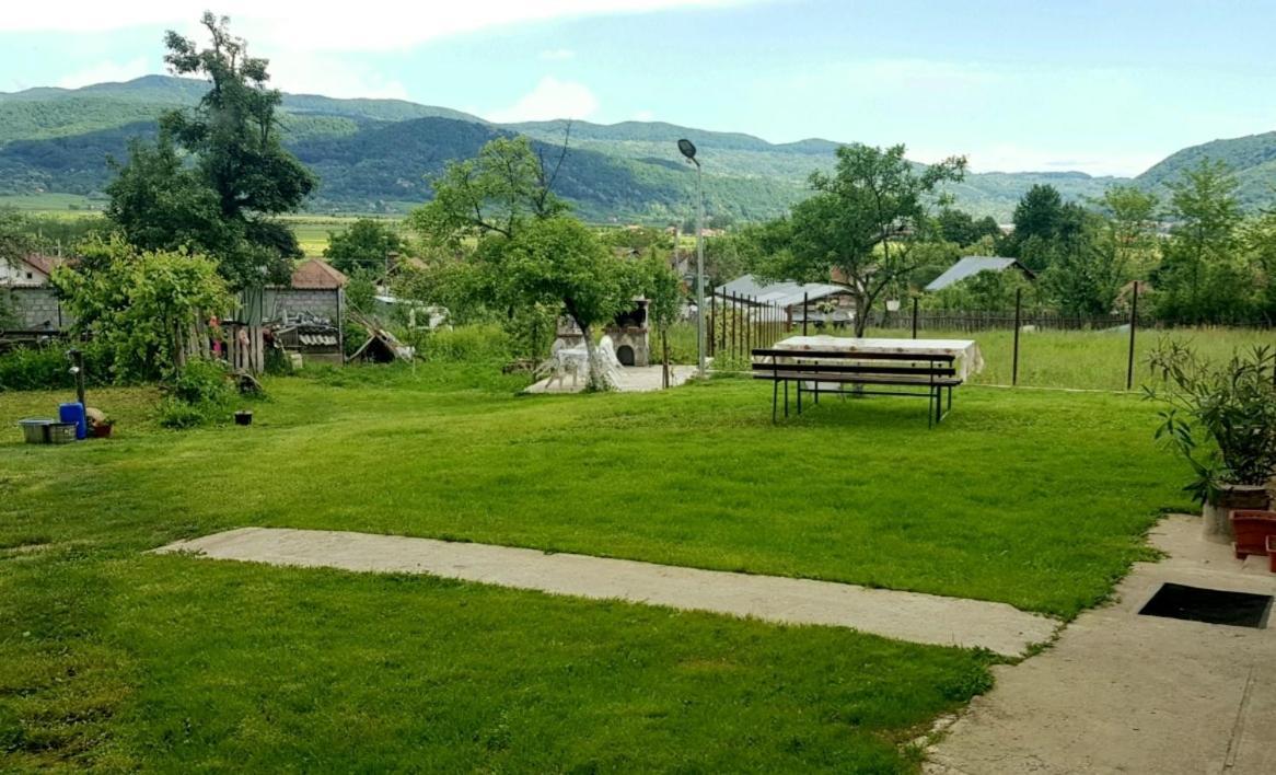 Pensiunea Adeluta Apartament Călimăneşti Exteriér fotografie