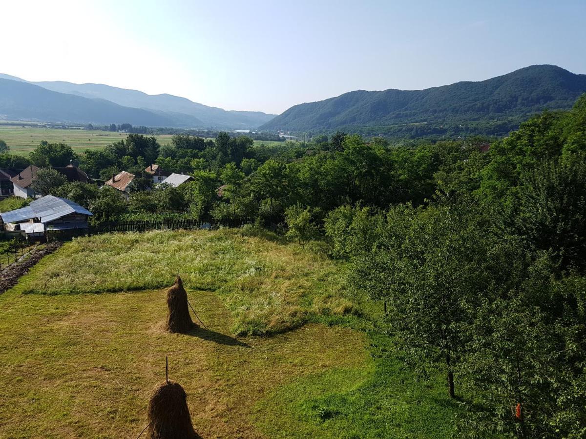Pensiunea Adeluta Apartament Călimăneşti Exteriér fotografie