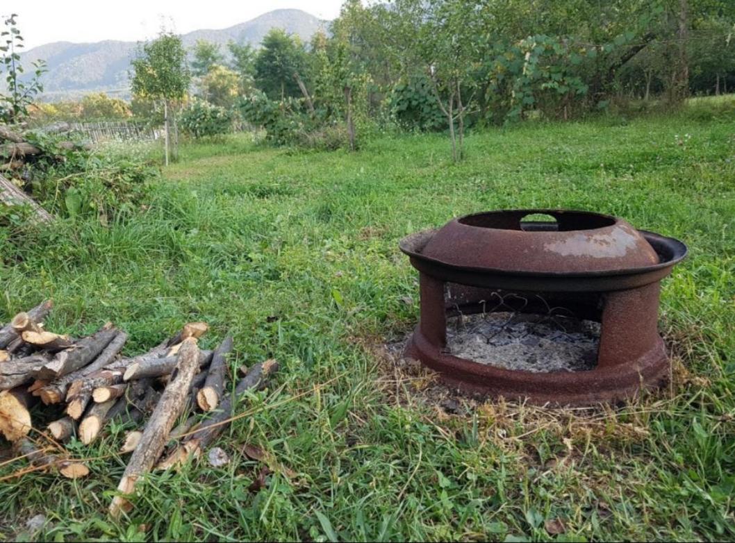 Pensiunea Adeluta Apartament Călimăneşti Exteriér fotografie